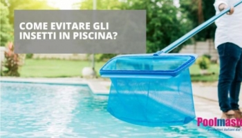 Come evitare gli insetti in piscina?