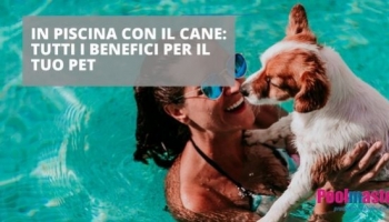 In piscina con il cane, divertimento estivo