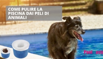 Come pulire la piscina dai peli degli animali: la guida completa