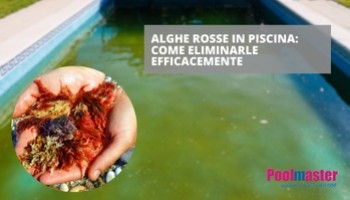 Alghe rosse in piscina: come eliminarle efficacemente