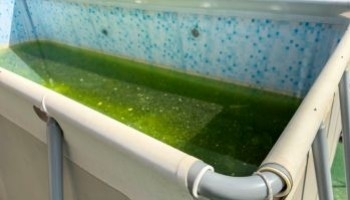 Come eliminare l’acqua verde dalla piscina?