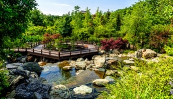 Laghetto balneabile: un modo diverso di vivere l’acqua