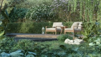 Piscina naturale con piante: come crearla nel tuo giardino